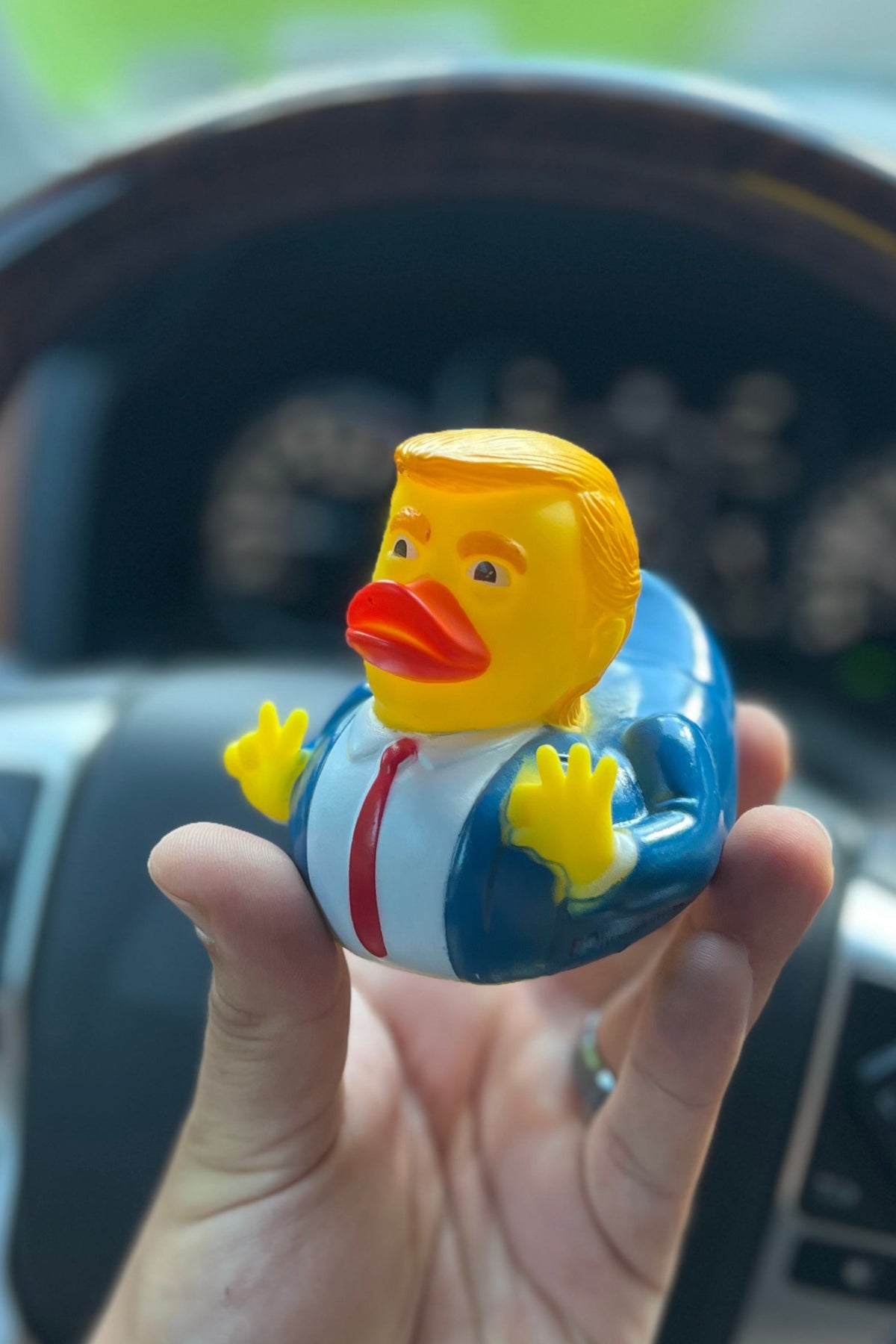 The "DONALD" Duck🇺🇸🇺🇸🇺🇸